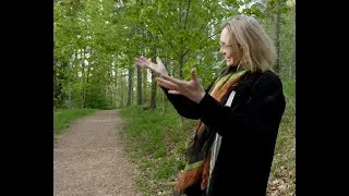 The Harmony Between City and Nature and the Ecosystem Services It Provides, Ranja Hautam&auml;ki