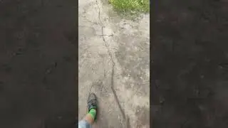 Мой арсенал Палок и какой-то чел💀 #реки #палки