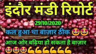 इंदौर मंडी रिपोर्ट 29 अक्टूबर | indore mandi pyaj report | onion arrival indore | aj ka pyaj bhav ||