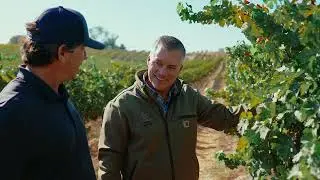 Wine Grape Hauling Services | Customer Testimonial  - G3 Enterprises