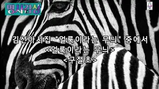 명시감상 -  김선아 / 얼룩이라는 무늬ᆞ구절초 / 낭송 suchon parkhongbae