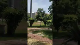 fddi campus  delhi👍#shorts #delhi fddi
