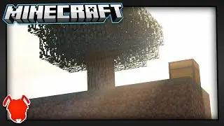 THE APPEAL of MINECRAFT SKYBLOCK!