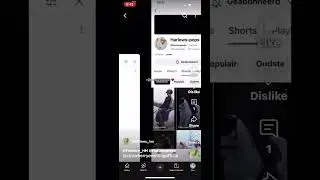Awhh nw ! @Harls_Little_Panda ❤️❤️❤️ #fypシ゚ #horse #horseenthusiast #horsefan #viralvideo