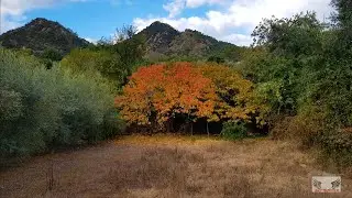 SENDERISMO SIERRA DE ESPADÁN --  ESLIDA -- FONT DELS LLOPS  -- COLL ROIG (CASTELLÓN)
