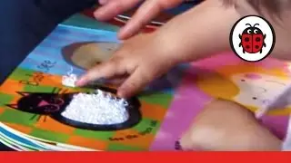 Baby Touch Books | Books Through Babies' Eyes