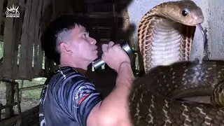 NAGKAKAMATAYAN DAHIL SA TUKLAW NG MABANGIS NA COBRA 