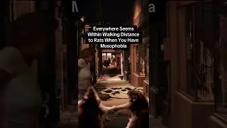 Syndrome walking distance to rats when you have musophobia #walking #walk #musophobia #rats #mice