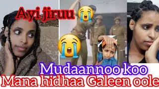Mudaannoo koo Madamiin sittu na cabsee nan jette😭ijoollee ishiis sittu haadha keenya cabsee jedhan😭🙏