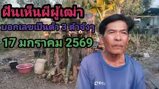 ฝันเห็นผีผู้เฒ่าบอกเลขเป็นตัว 3 ตัวจังๆ