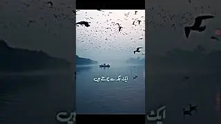 یہ راز حضرت عمر نے کھولا ❣️۔    #youtubeshorts #bestbayan #molana_tariq_jameel