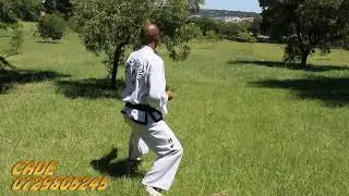 Chongi ITF Pattern