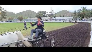 SOUTH AFRICA WELSH PONY CHAMPIONSHIP 2023