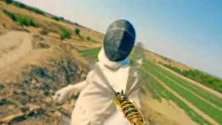 Dieguito - SPADACCINO
