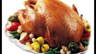 Turkey Hotline