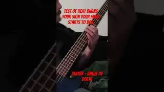A thrash classic #slayer #bass #shorts #youtube #youtuber #fyp #oldschool