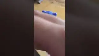 Un rare hatchimal