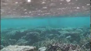 A Filmmaker's Journal: Underwater Rain