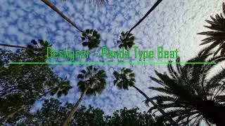 Desiigner - Panda Type Beat