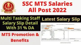 SSC MTS New Salaries 2022 of All Posts  - Latest Salary Slips & In hand Salary | Perk & Benefits