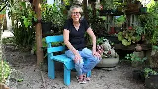 VISITA INDESEJADA - SUGADORES DE ENERGIA - SAIBA O QUE FAZER
