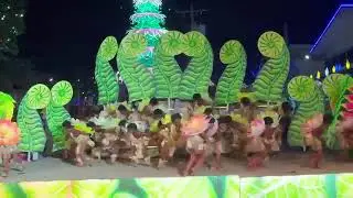 Grand champion : Tribu Lulutabo,  Langub Festival,Mabinay