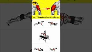 ➜ Top 5 Triceps Exercises No Equipment 💪