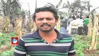 YSRCP Leaders fire on TDP Over Crop burnt in Guntur district