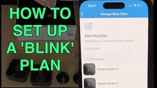 Как настроить план подписки Blink