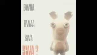 rabbit invesion