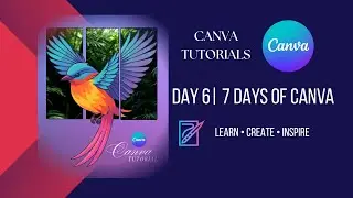 How to Create Split Image Effect in Canva | Flying Bird Design Tutorial #CanvaTutorial  #CanvaDesign