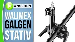 Walimex Galgenstativ Erfahrungsbericht - caphotos.de