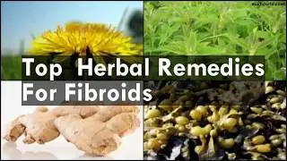 Myoma Treatment - Top Herbal Treatments For Myoma ( Uterine Fibroids )