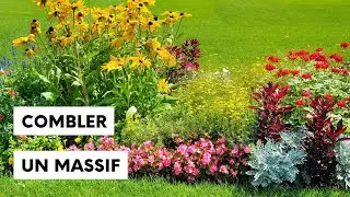 Comment combler un massif floral en &eacute;t&eacute;
