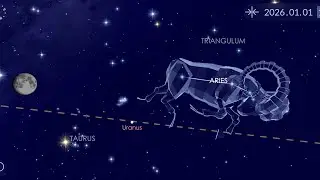Beran ♈️ leden 2026, co rikaji hvezdy ✨️