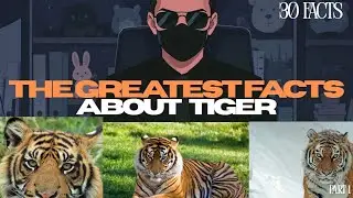 Most Fascinating Facts About Tiger That you didn't know (MUST WATCH)