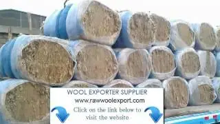 Sheep Raw Wool Wholesale Bulgaria