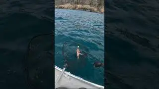 cabezon gopher rockfish ocean fishing on inflatable