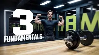 3 Muscle Building Fundamentals Every Beginner Must Know FAST Results
