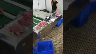 DZ-1100 DOUBLE SEALED CONTINUOUS BELT TYPE VACUUM PACKAGING MACHINE
