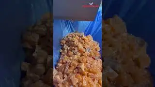 Processing Some Fresh Salmon Cubes #salmon #salmoncubes #processing #process