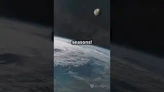 What If the Moon Disappeared? 🌑❌