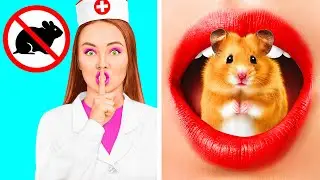 Lustige Wege Haustiere Ins Krankenhaus zu Schmuggeln | Lustige Challenges von Fun Fun