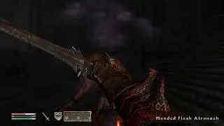 Flesh Atronach Fight