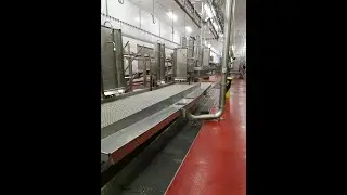 HYTT and Frontmatec Intecal commission HYTT Hygienic Vacuum Transport system at Fribin Spain