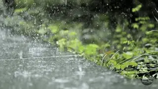 Deep Sleep Rain Ambience 🌧️ &ndash; Extended Natural Rain Sleep Sounds
