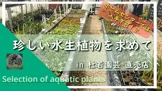 ビオトープを始めるその前に珍しい水生植物を求めてin杜若園芸