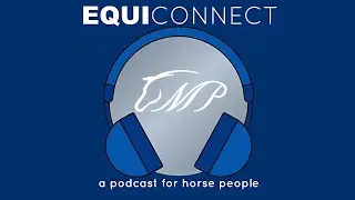 Unraveling Equine Gastric Ulcer Syndrome: Causes, Treatments, and Prevention