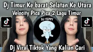 DJ TIMUR KE BARAT SELATAN KE UTARA VELOCITY PICA PICA 2 LAGU TIMUR JUAN REZA VIRAL TIKTOK