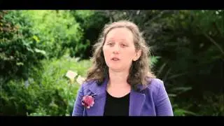 The Poetry of Places: A Culture-Makers Fusion Arts Initiative (V2)